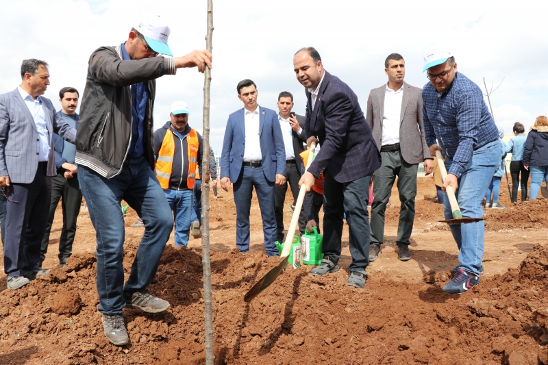 Başkan Nihat Çiftçi, Türkiye;nin En Büyük Yeşil Alanını Oluşturuyoruz