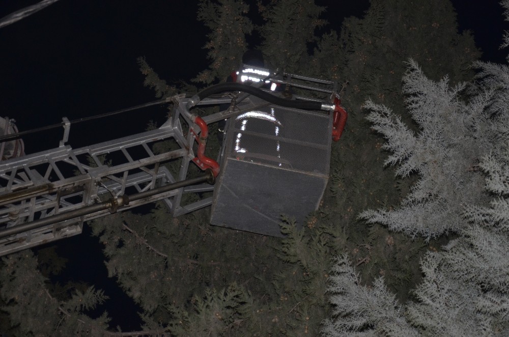 Kediyi kurtarmak için şehrin elektrikleri kesildi