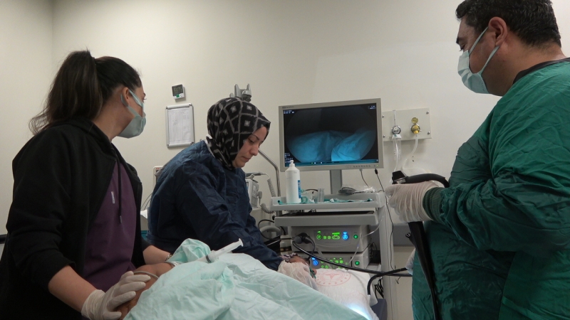 Birecik Devlet Hastanesi'nde endoskopi ve kolonoskopi işlemleri anestezi altında yapılmaya başladı.