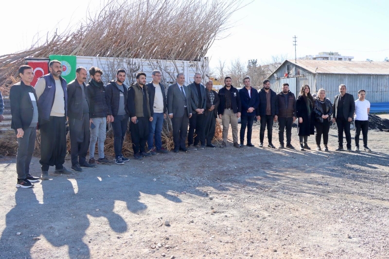 BÜYÜKŞEHİR BELEDİYESİ'NDEN İPEK BÖCEĞİ YETİŞTİRİCİLERİNE DUT AĞACI DESTEĞİ