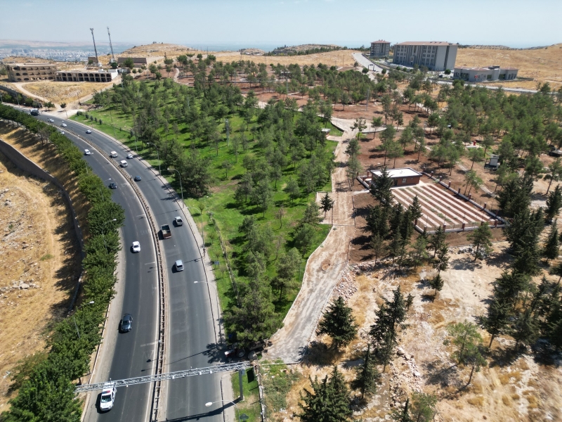 BÜYÜKŞEHİRDE HER ŞEY DAHA YEŞİL BİR ŞANLIURFA İÇİN