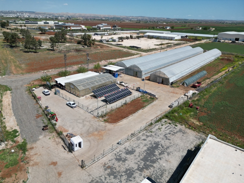 BÜYÜKŞEHİR’DE SEBZELER, HEM SOFRAYA HEM DE EKONOMİYE KATKI SAĞLIYOR