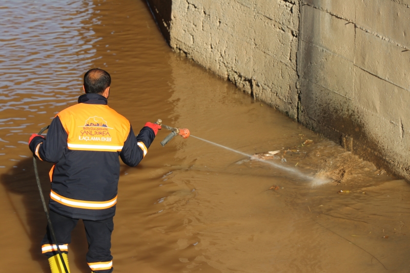 BÜYÜKŞEHİR’DE VEKTÖRLE MÜCADELE ÇALIŞMALARI HIZ KAZANDI