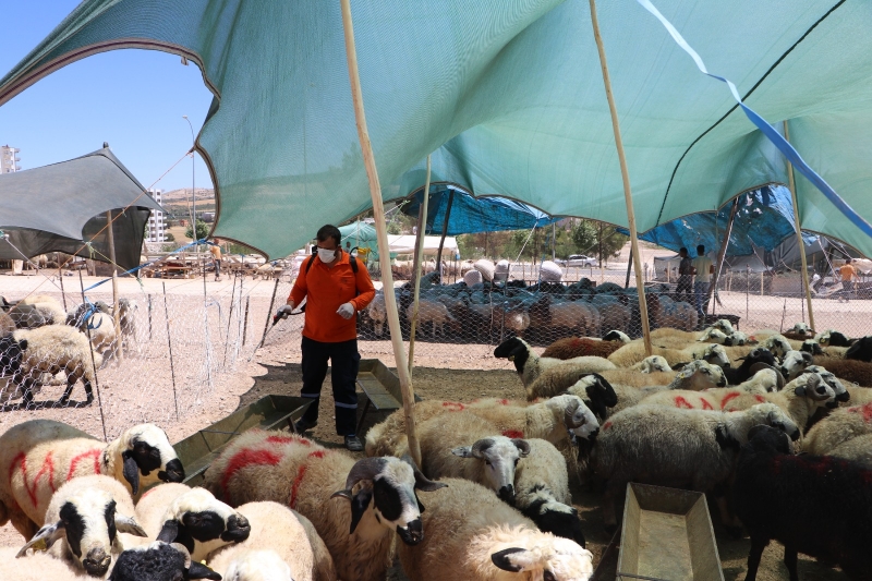BÜYÜKŞEHİR’DEN KURBAN SATIŞ NOKTALARINDA İLAÇLAMA