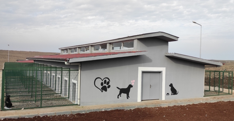BÜYÜKŞEHİR’DEN SOKAK HAYVANLARI İÇİN BİR MODERN TESİS DAHA