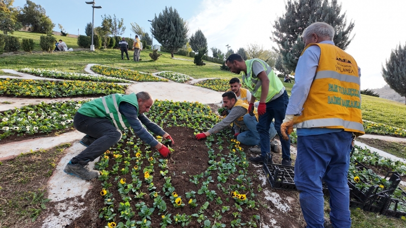 BÜYÜKŞEHİR’DEN YEŞEREN TASARRUF: 400 BİN MEVSİMLİK ÇİÇEK TOPRAKLA BULUŞUYOR