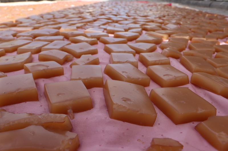 BÜYÜKŞEHİR’LE ŞANLIURFALI KADINLAR ÜRETİME KATKI SAĞLIYOR