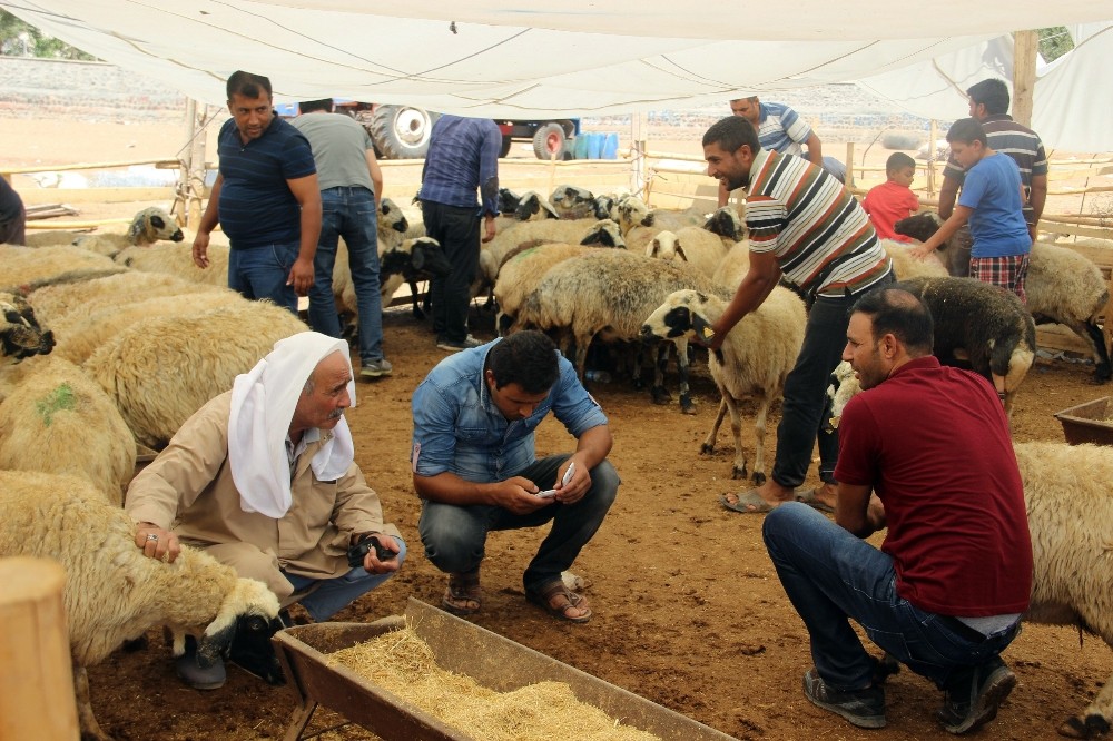 Kurbanlık satışları bayramın üçüncü gününde de devam etti