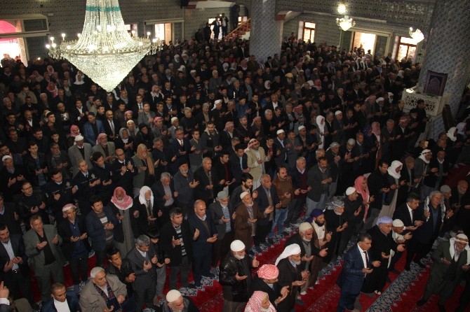 Şehitler için okutulan mevlide binlerce kişi katıldı