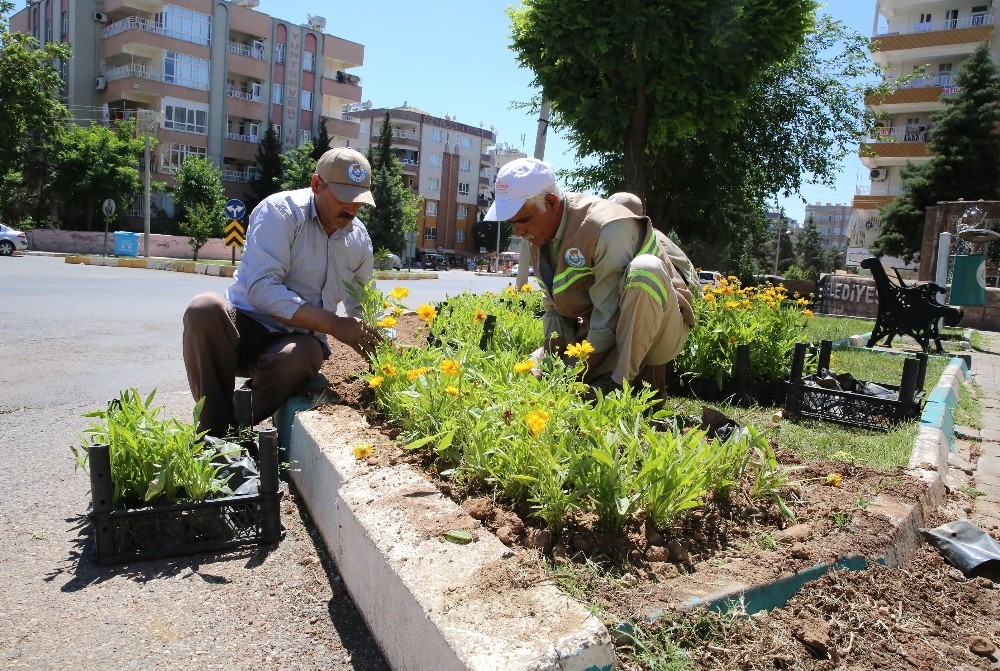 Haliliye İlçesi çiçeklerle süsleniyor