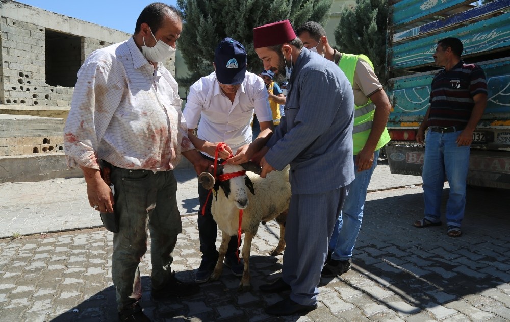 Eyyübiye’de onlarca aileye kurban verildi