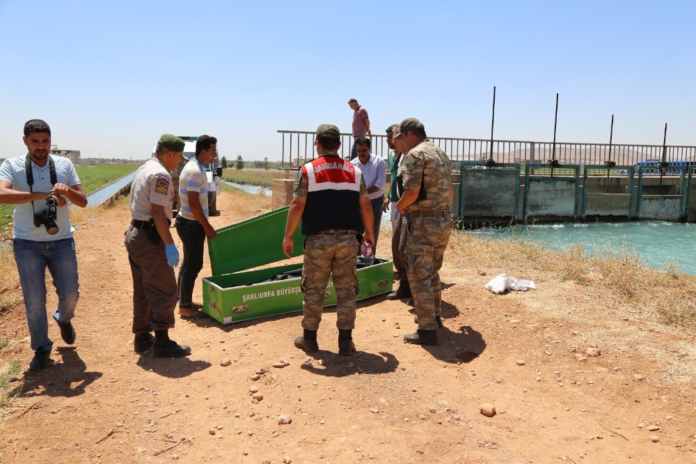 Sulama kanalında ceset bulundu