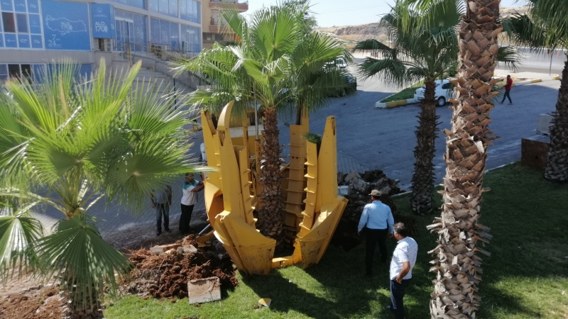 ÇEVRECİ BÜYÜKŞEHİR'E VATANDAŞLARDAN TAM NOT