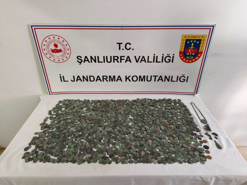Ceylanpınar’da Tarihi Eser Operasyonu: Binlerce Sikke Ele Geçirildi