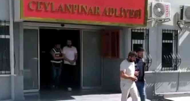 Ceylanpınar'da uyuşturucuya darbe