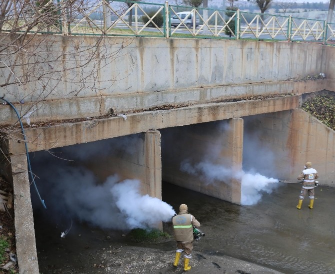 Haliliye’de haşerelerle mücadele kış aylarında da sürüyor