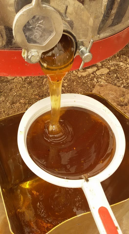 Gerçek bal hakkında bilinmeyenler