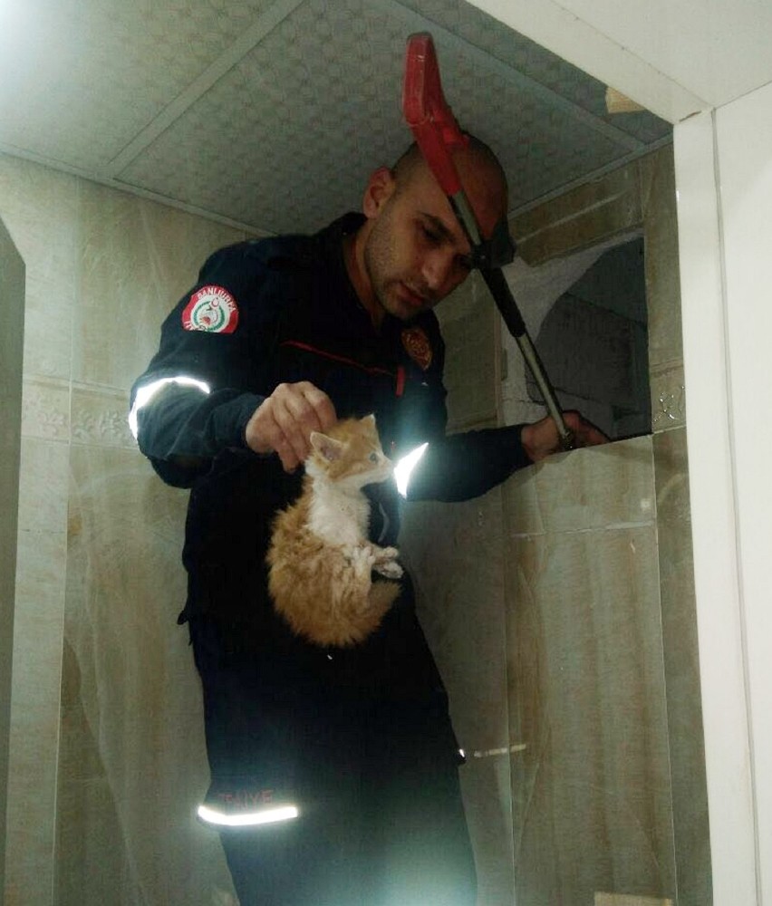 Binanın havalandırma boşluğunda sıkışan kediler kurtarıldı