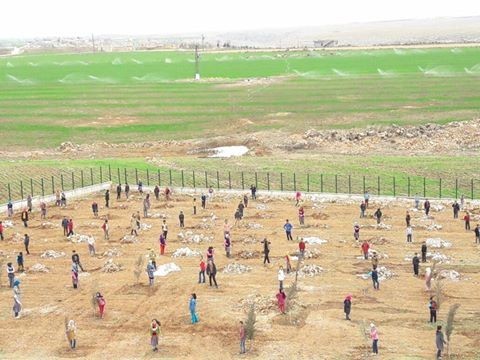 Fidan dikim kampanyasında hedeflenen sayının 2 katına ulaşıldı