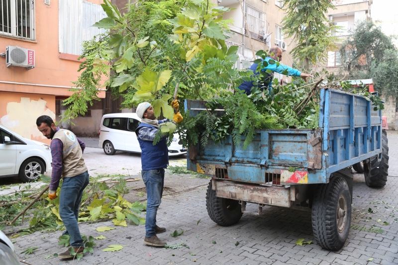 DAHA YEŞİL BİR HALİLİYE İÇİN ÇALIŞMALAR SÜRÜYOR