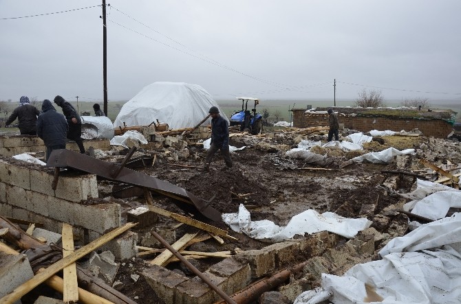 Barınağın çökmesi sonucu 40 koyun ve kuzu telef oldu