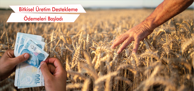 Destekleme Ödemeleri Bu Hafta Yapılıyor