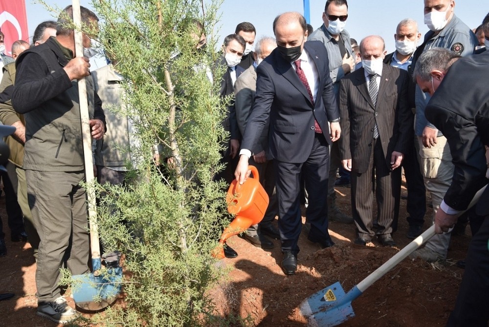 Şanlıurfa’da binlerce fidan toprakla buluştu