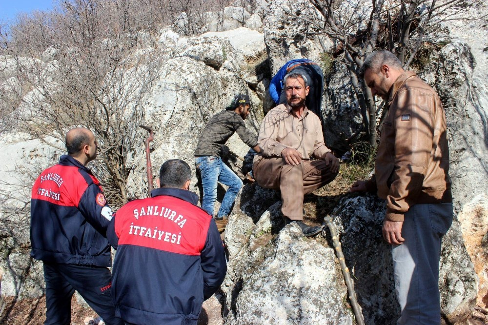 6 gündür kayalıklara sıkışan avcı köpeği kurtarılmayı bekliyor