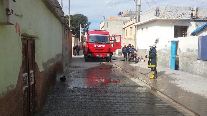 Patlayan tüp yangın çıkardı