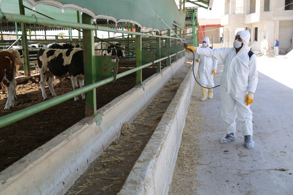 Haliliye tedbiri elden bırakmıyor