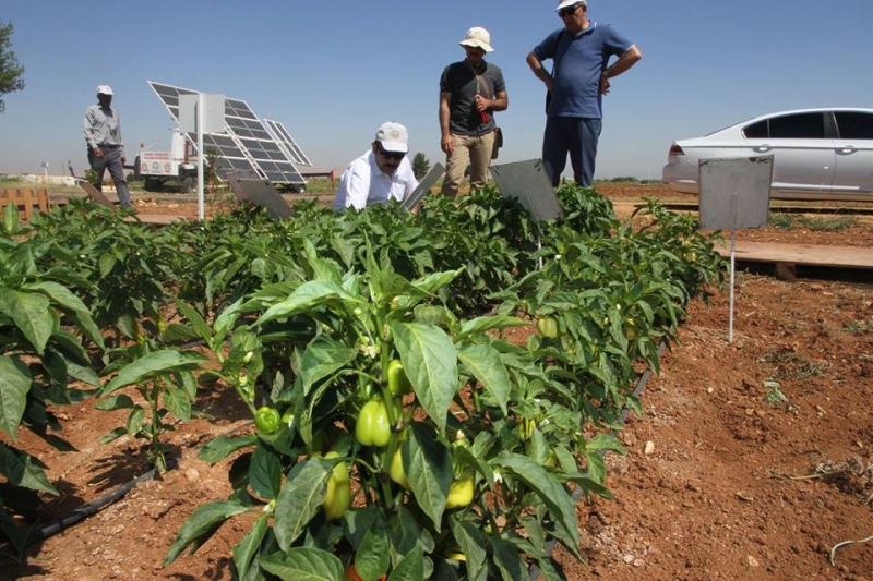 Emine Erdoğan sosyal medya hesabından paylaştı