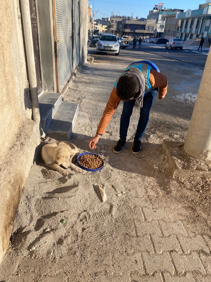 EYYÜBİYE BELEDİYESİ ‘CAN DOSTLARI’ UNUTMADI.