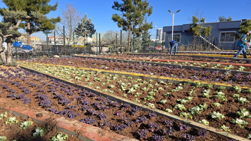Eyyübiye Belediyesi Üretiyor Parklar Güzelleşiyor