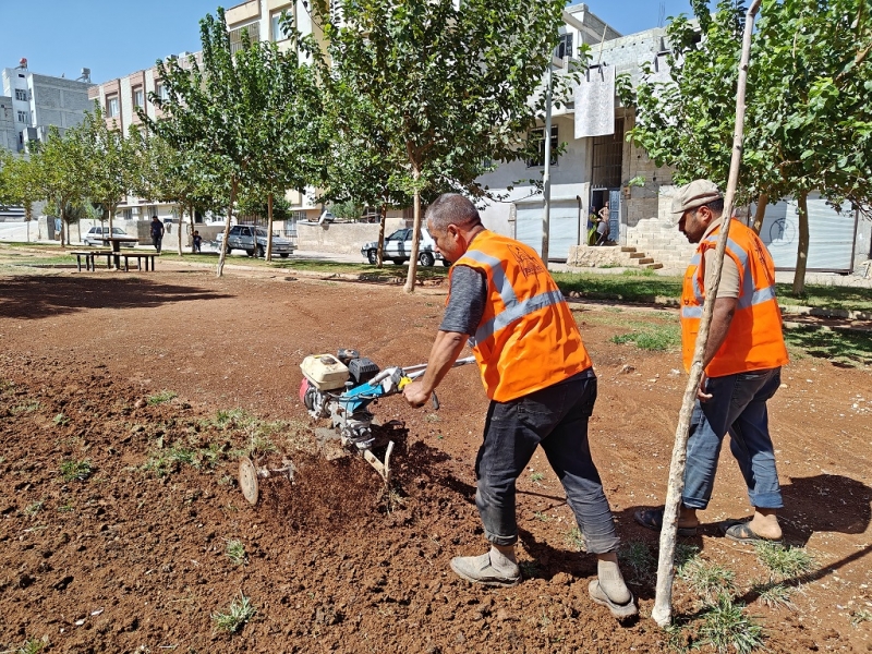 Eyyübiye Parklarında Sonbahar Çalışması