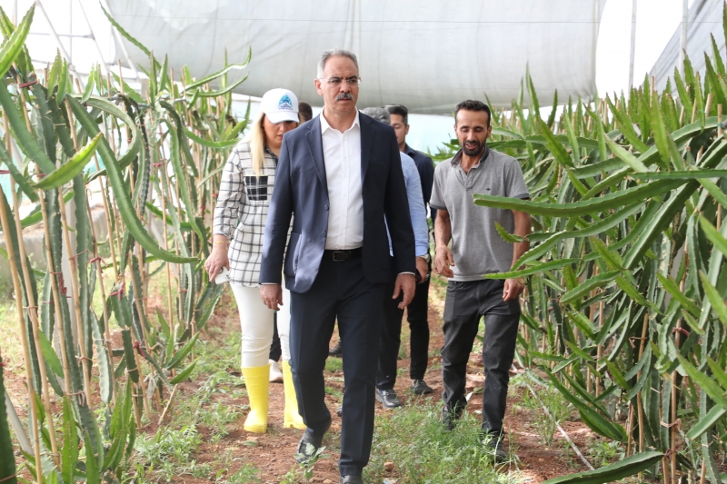 Eyyübiye Sera Kent Çiftçilere Eğitim Desteği Verecek