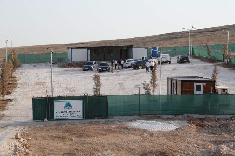 Eyyübiye, Sokak Hayvanları Sorununu Çözdü