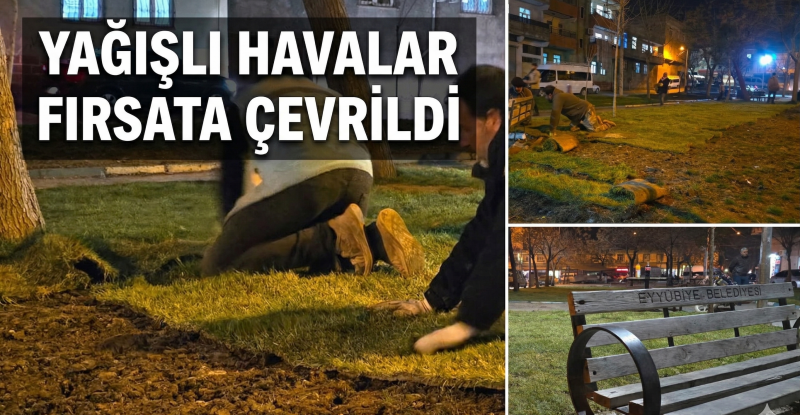 Eyyübiye’de Parklar Bir Gecede Yeşerdi: Ekiplerden Gece Mesaisi