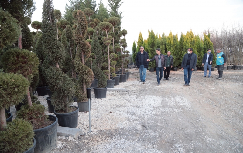 Eyyübiye’de yeni parklara yeni fidanlar