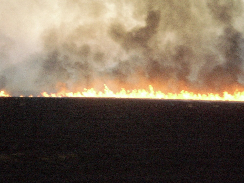 100 dönümlük buğday tarlası kül oldu