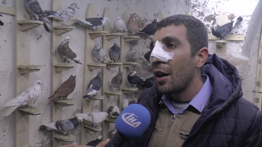 Ameliyattan çıkar çıkmaz güvercinlere koştu