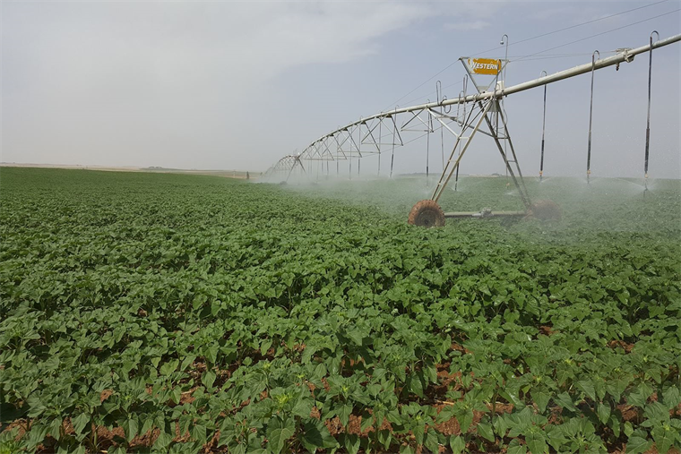 Şanlıurfa’ya 70 milyonluk dev proje