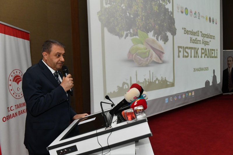 FISTIK GİBİ ORGANİZASYON. Fıstık Paneli Düzenlendi