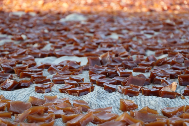 GELENEKSEL “ŞİRE ŞENLİĞİ” HİLVAN OVACIK MAHALLESİNDE YAPILDI