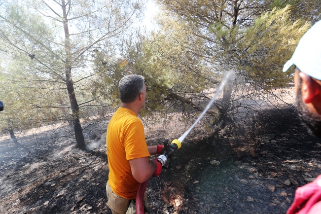 Göbeklitepe Çevresindeki Yangın Kısa Sürede Söndürüldü