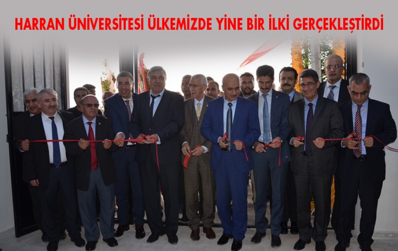 GÜNLÜK 40 TON İŞLEME KAPASİTELİ ZEYTİNYAĞI TESİSİ HİZMETE GİRDİ