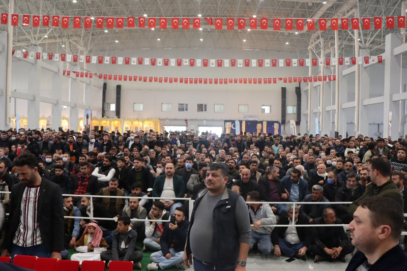 GÜVERCİN GÜZELLİK YARIŞMASI RENKLİ GÖRÜNTÜLERE SAHNE OLDU