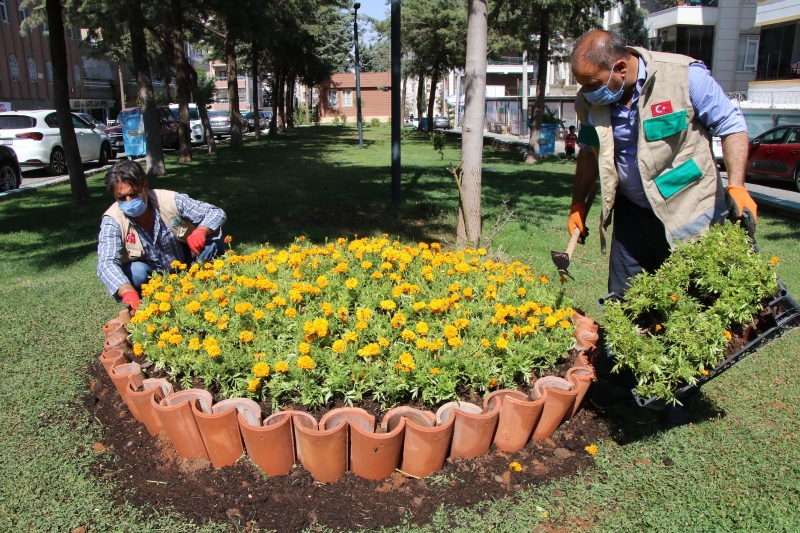 Haliliye parklarında peyzaj çalışması