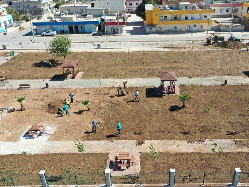 HARRAN KENT PARKI BÜYÜKŞEHİR’İN ÇALIŞMALARIYLA YEMYEŞİL OLACAK