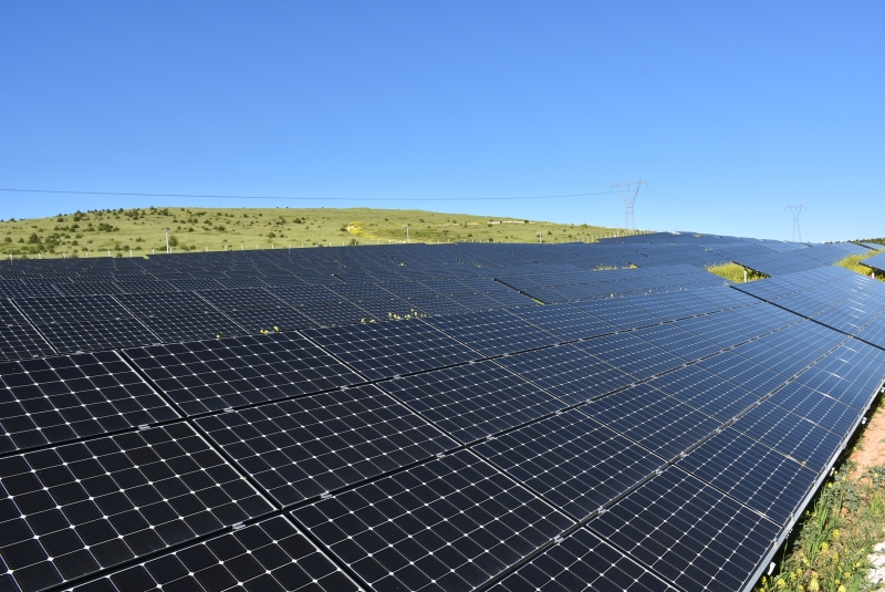 Harran Üniversitesi Kendi Enerjisini Üretiyor