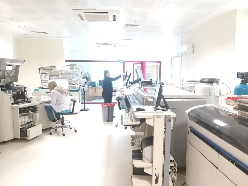 HARRAN ÜNİVERSİTESİ HASTANESİNDE KLİNİK LABARATUARLARDA YAPAY ZEKA